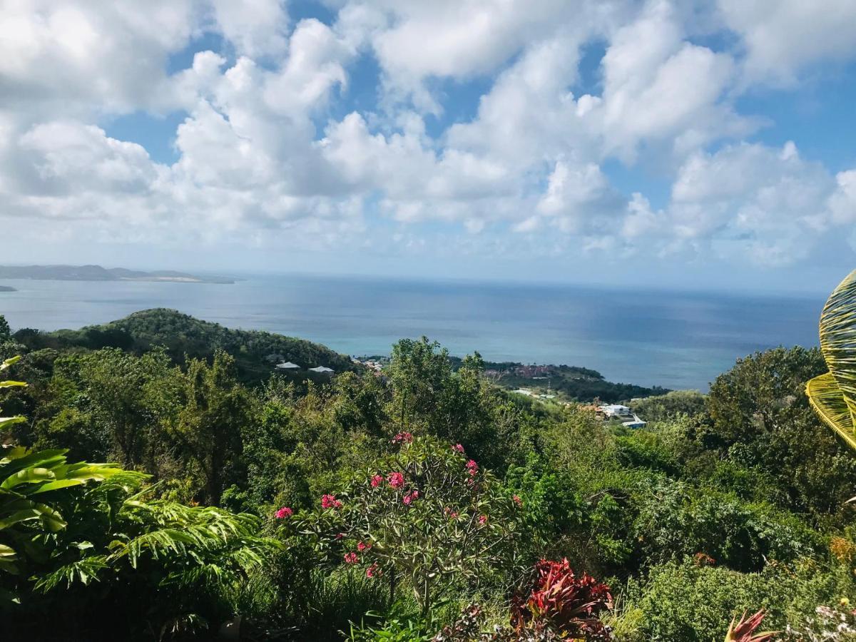 Appartement Prive Eco-Responsable, Vue Sur La Mer Des Caraibes Et Jardin Clos, Wifi, A 2Mn De La Plage 圣吕斯 外观 照片
