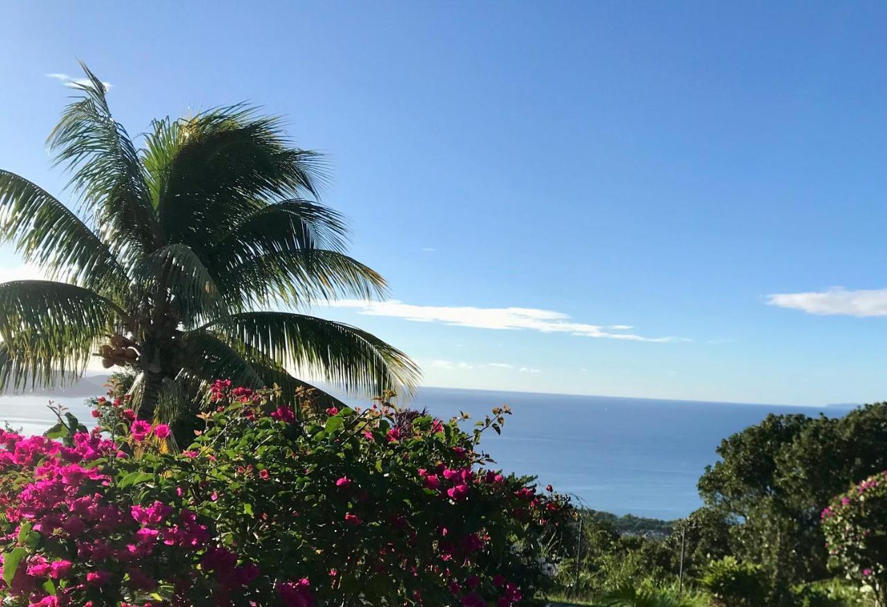 Appartement Prive Eco-Responsable, Vue Sur La Mer Des Caraibes Et Jardin Clos, Wifi, A 2Mn De La Plage 圣吕斯 外观 照片